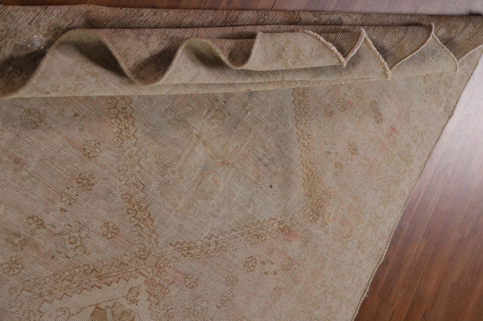 Distressed Shiraz Persian Area Rug 5x6 - 19