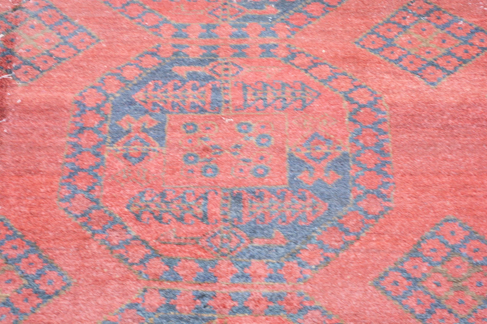 TURKOMAN HAND KNOTTED WOOL RUG - 3
