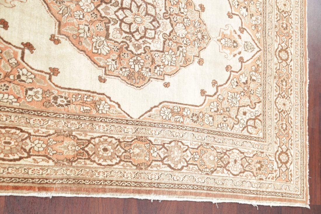 Geometric Ivory 4x6 Tabriz Haj jalili Persian Area Rug - 14