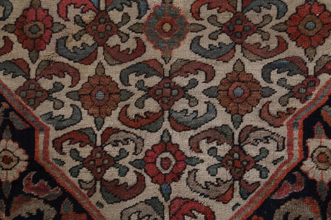 14x21 Bidjar Persian Area Rug - 13