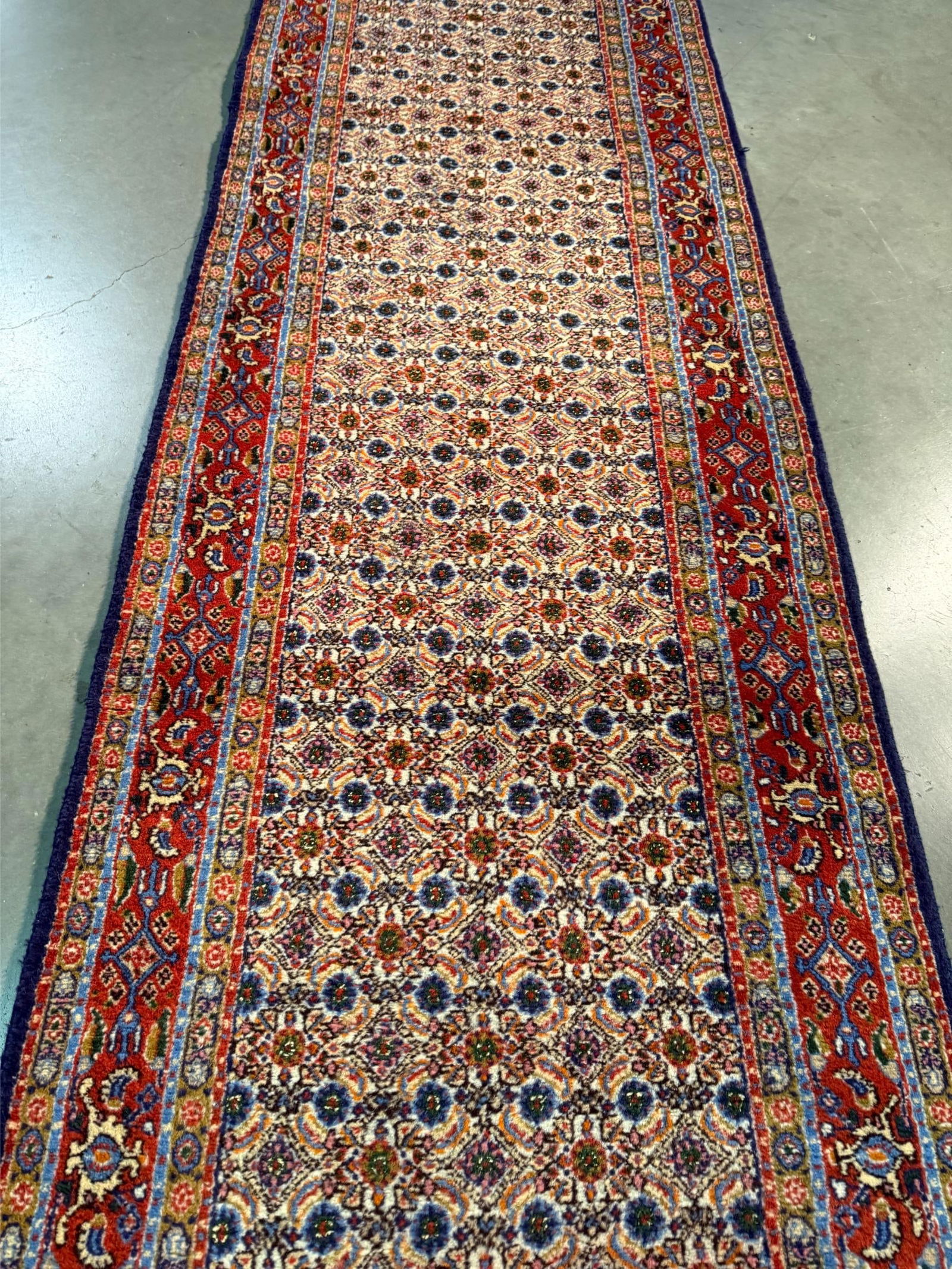 Magnificent Persian Runner 2.8x9.8 - 4