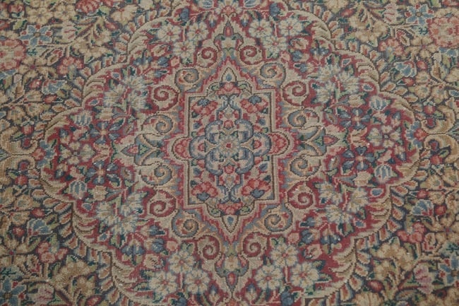 Antique Floral Kerman Persian Area Rug 9X12 - 11