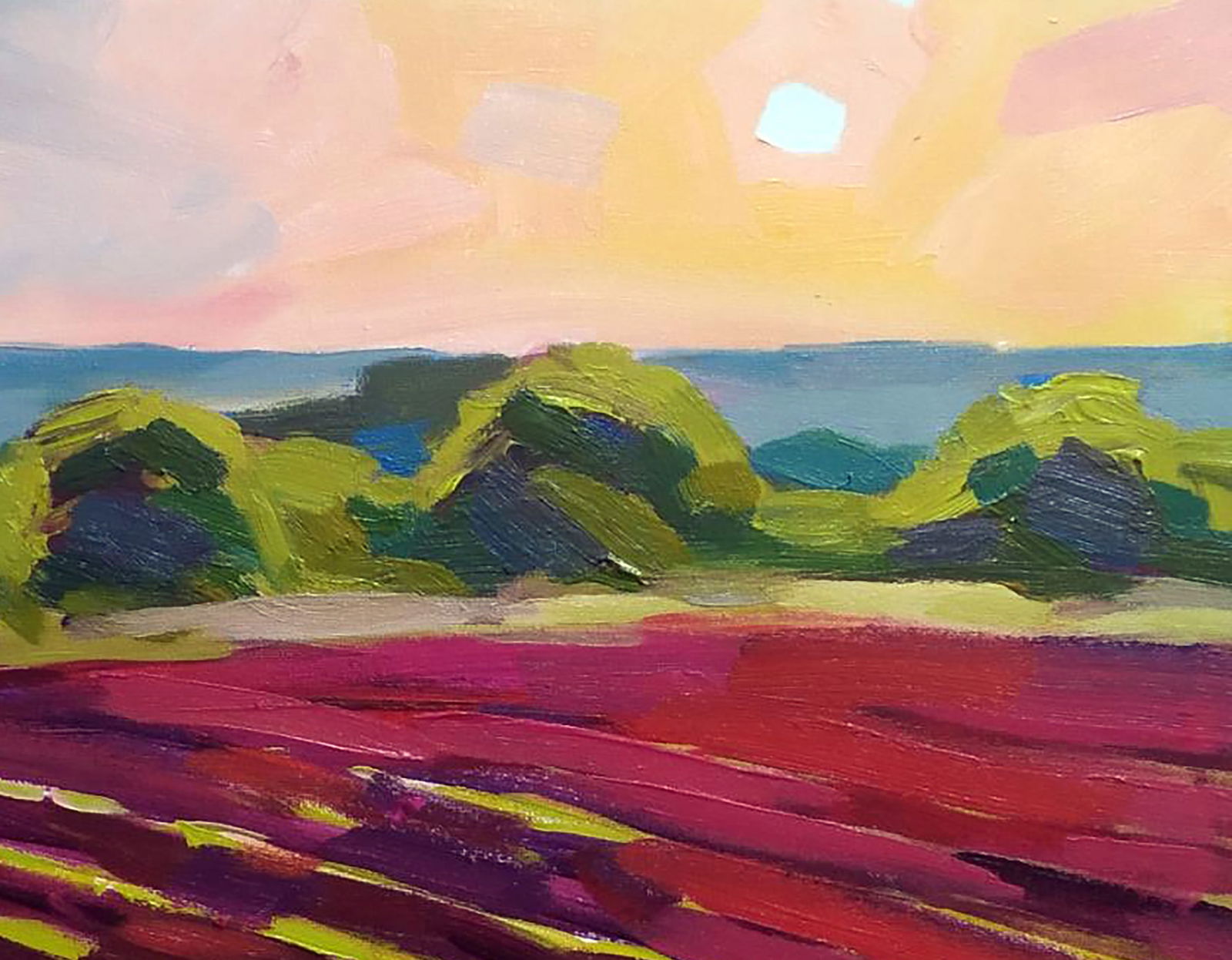 Acrylic painting Warm evening in the field Serhii Kachyn - 3