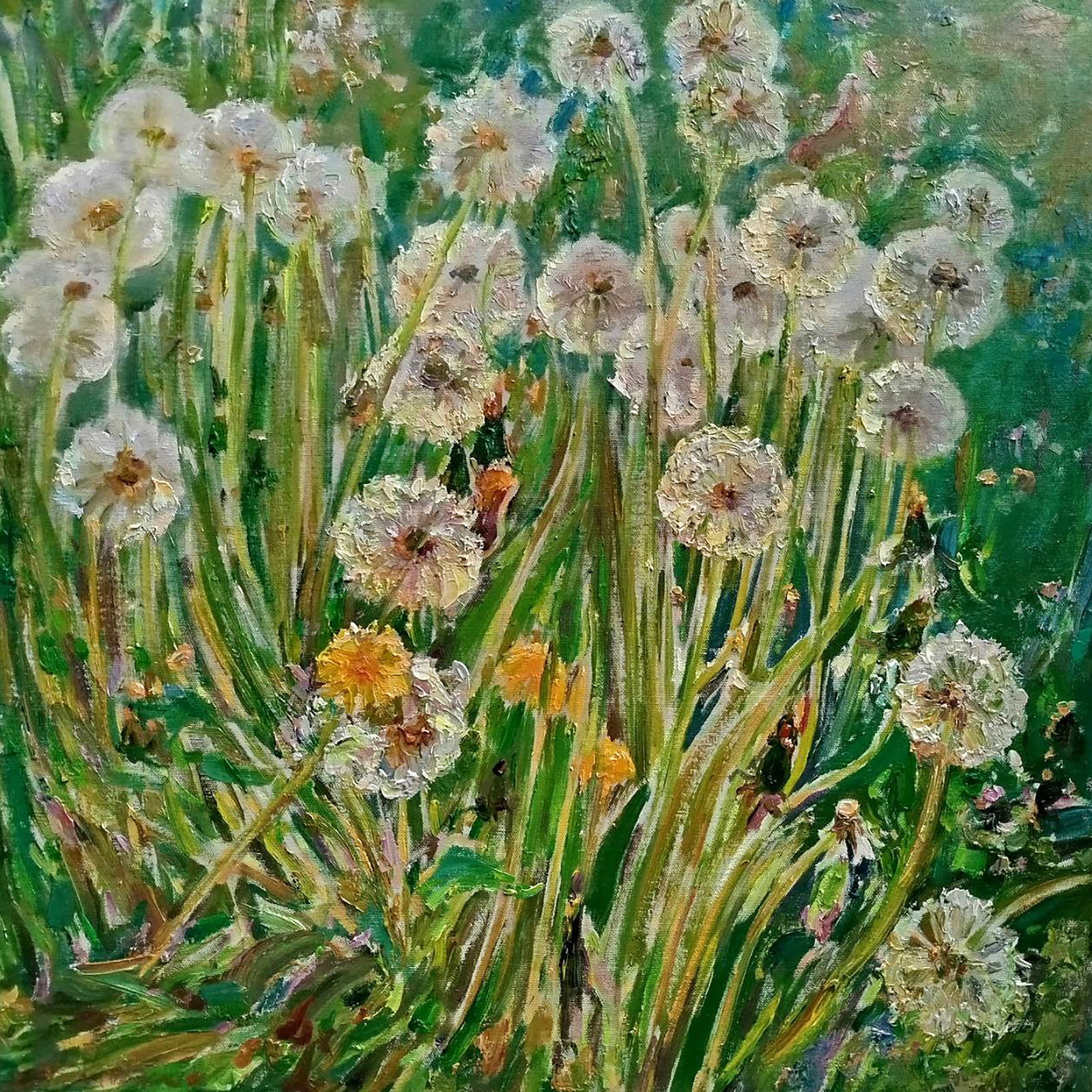 Oil painting Dandelions Leonid Pavlenko: Title: Oil painting Dandelions Leonid Pavlenko Description: 55PAVL Painter: Leonid Pavlenko Size: 60x60 cm/23.62x23.62 inches Components: oil, canvas Original painting CONDITION: excellent ARTIST: 