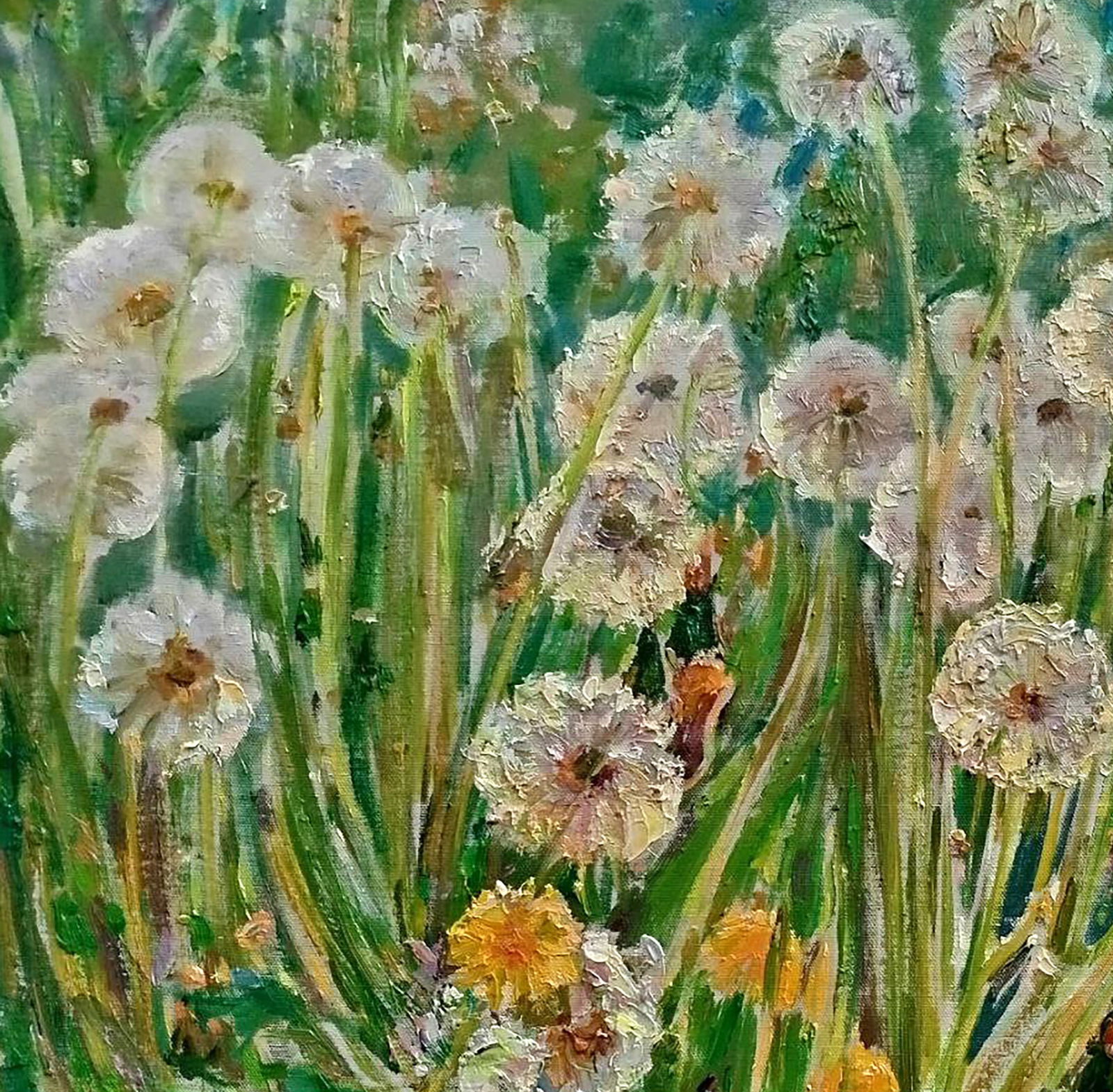 Oil painting Dandelions Leonid Pavlenko - 2