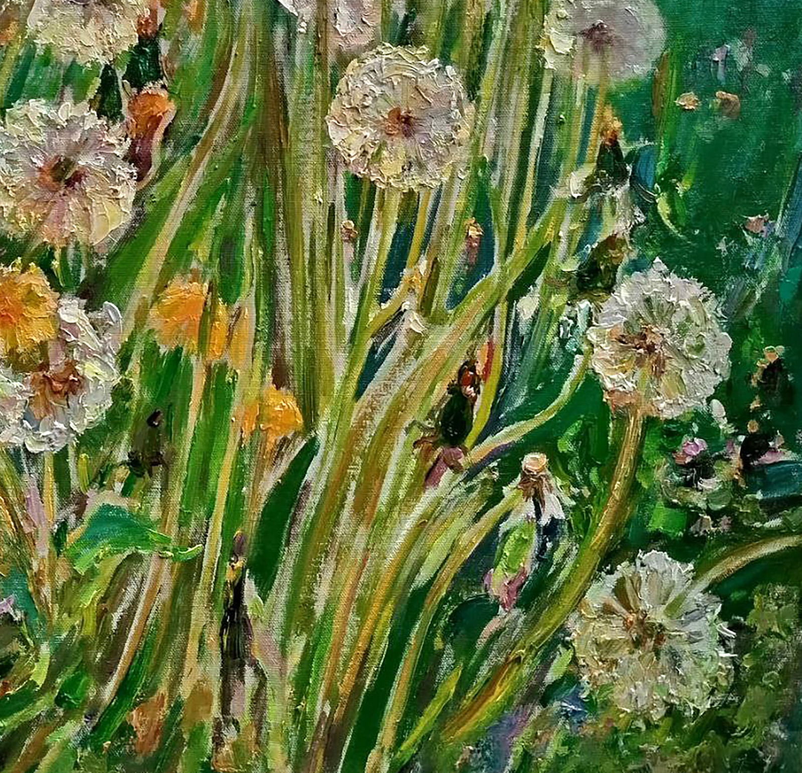 Oil painting Dandelions Leonid Pavlenko - 5
