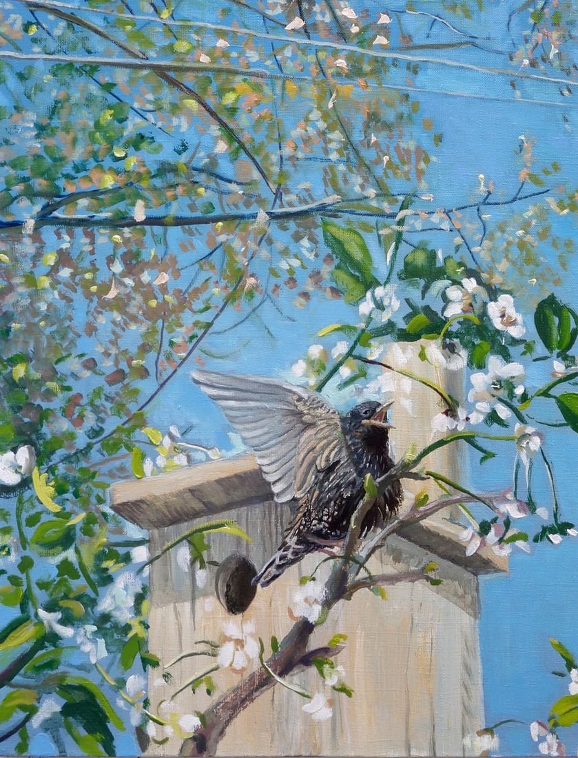 Oil painting Starling Varvarov Anatoly Viktorovich - 4