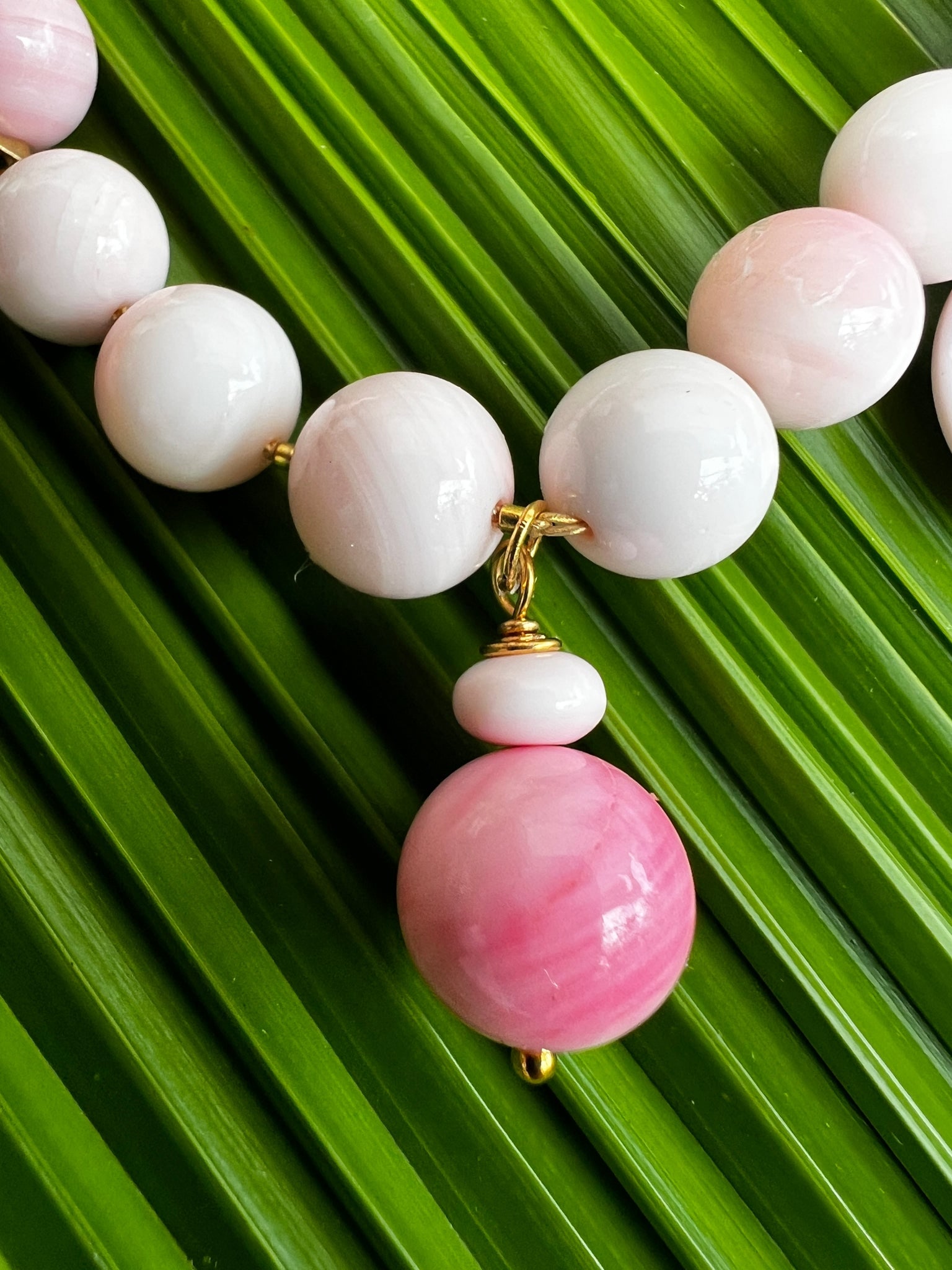 Conch Shell 16" Necklace with Coral - 4