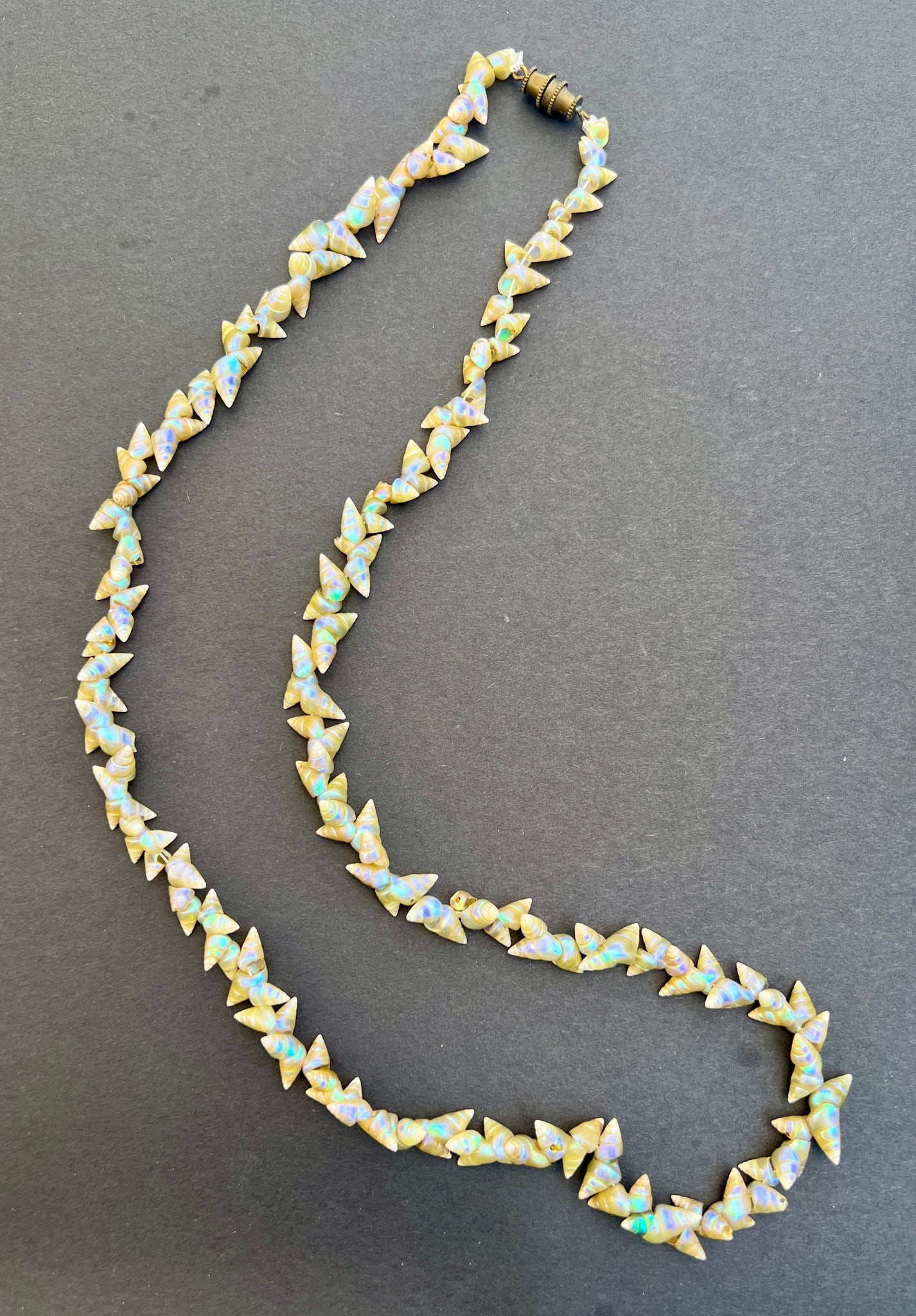 Rare Maireener Shell Short Necklace: Title:Rare Maireener Shell Short NecklaceDescription:Magical, tiny, iridescent Maireener shells from Tasmania, off of Australia. It is vintage and made by an Aboriginal trib. These are special enough