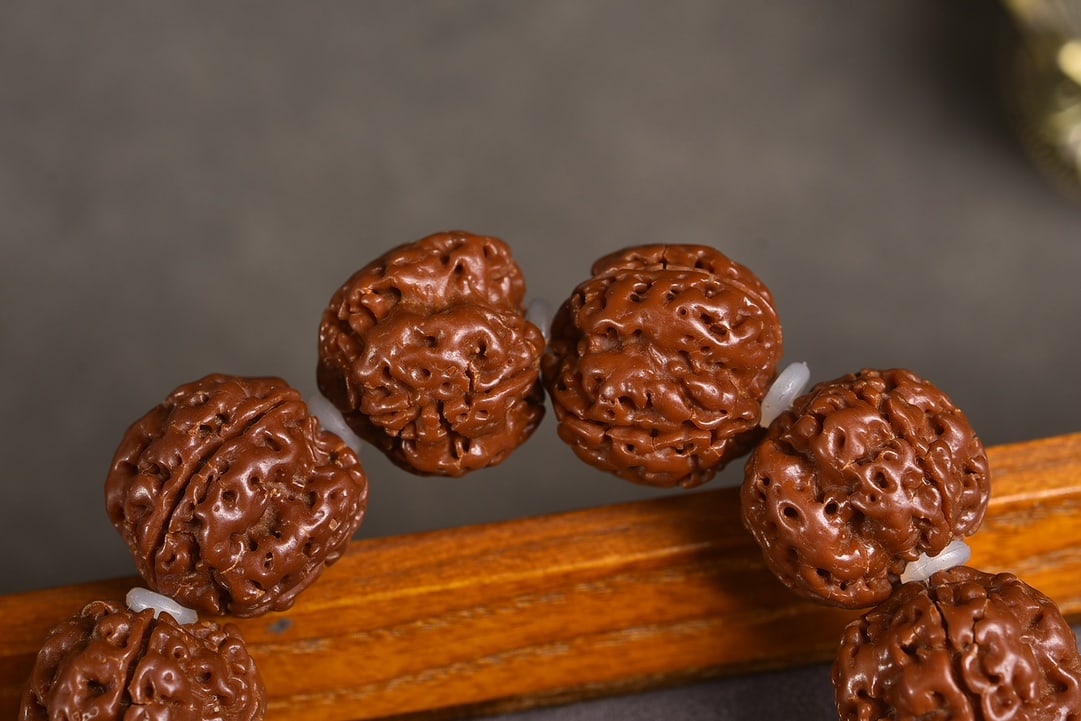 Vajra Bodhi Seed with Obsidian Bracelet - 5