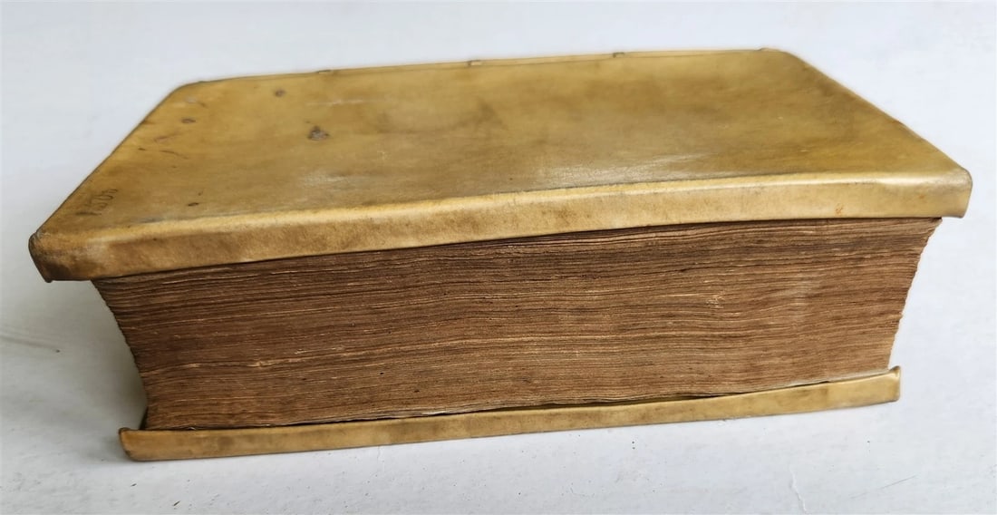 1643 SCOTTISH HISTORY GEORGE BUCHANAN antique Rerum Scoticarum historia VELLUM - 3