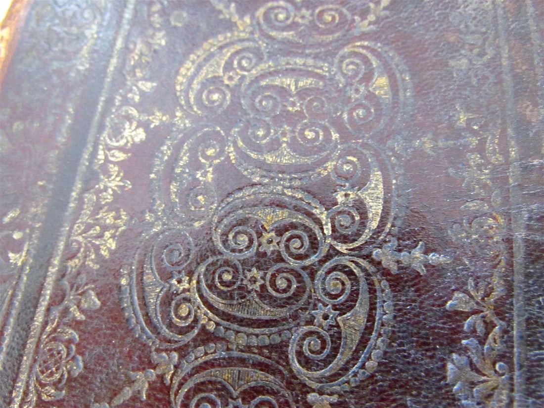1769 PUBLII OVIDII NASONIS ELEGUAE TRISTIUM JESUIT antique DECORATIVE BINDING - 7