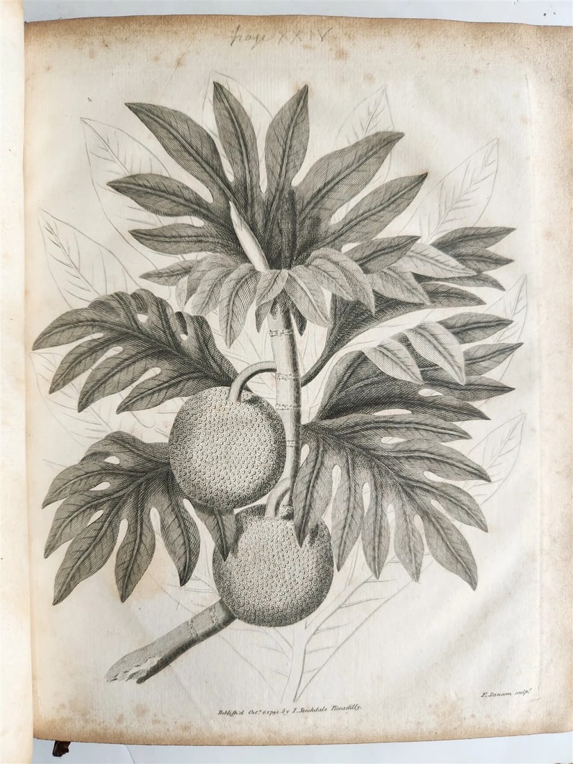 1794 HISTORY of BRITISH COLONIES in WEST INDIES ILUSTRATED antique 2 VOLS - 6