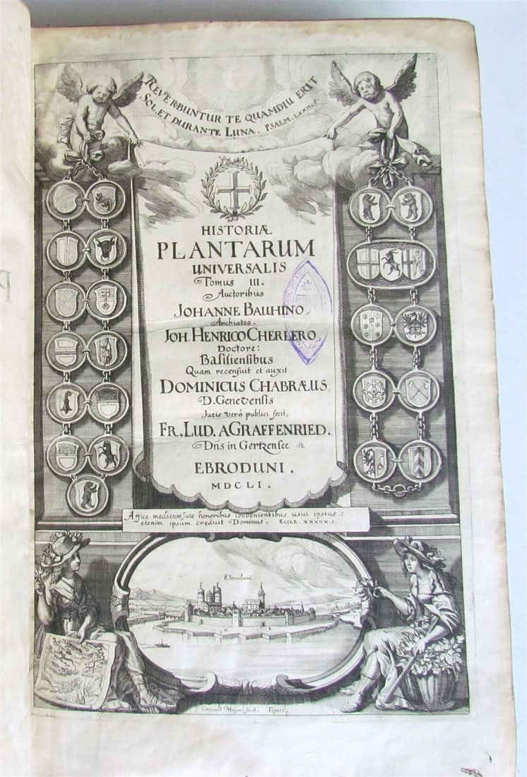 1651 HISTORIAE PLANTARUM UNIVERSALIS v.3 by J. Bauhin antique BOTANY ILLUSTRATED: Title: 1651 HISTORIAE PLANTARUM UNIVERSALIS v.3 by J. Bauhin antique BOTANY ILLUSTRATED Description: Bauhin, J. and Cherler, J.H. Historiae plantarum universalis. Ed. D. Chabraeus. Volume 3 (of 3) Yve