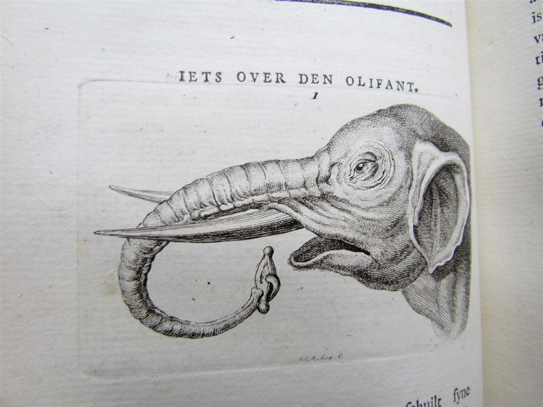 1781 4 volumes PHYSIOGNOMY ILLUSTRATED 18th century antique set - 10