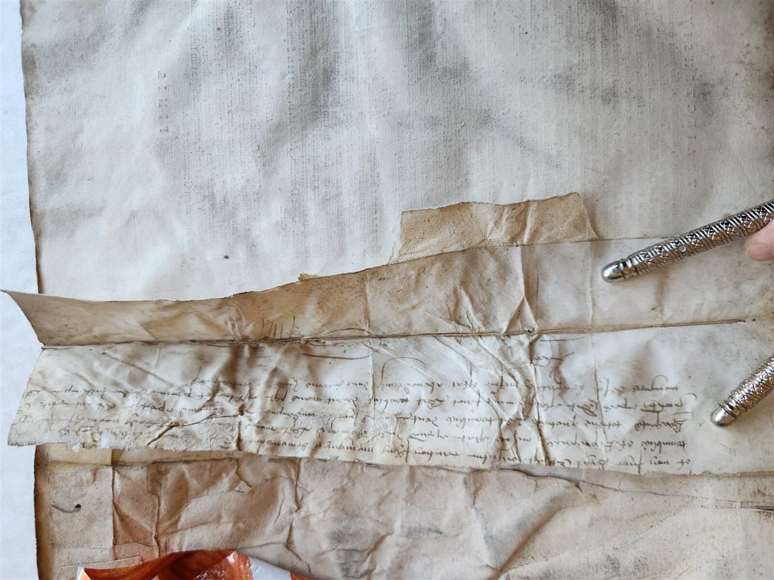 1584 HISTORY of HOLLAND antique ILLUSTRATED vellum bound Netherlands 16th CENT. - 5