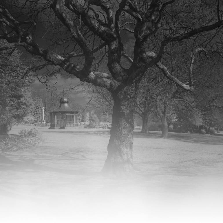 Edition 2/10 - Light Leaks, Weston Park, Sheffield: Title: Edition 2/10 - Light Leaks, Weston Park, Sheffield Photograph Artist: Paul Cooklin Origin: United Kingdom Medium: Photography, Gelatin on Paper Dimensions: 16 W x 20 H x 0.1 D in Reserve: $400
