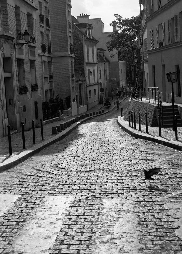 Edition 2/10 - Pigeon Crossing, Paris, France - Silver Gelatin