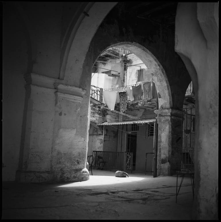 Sleeping Dog, Havana, Cuba - Silver Gelatin