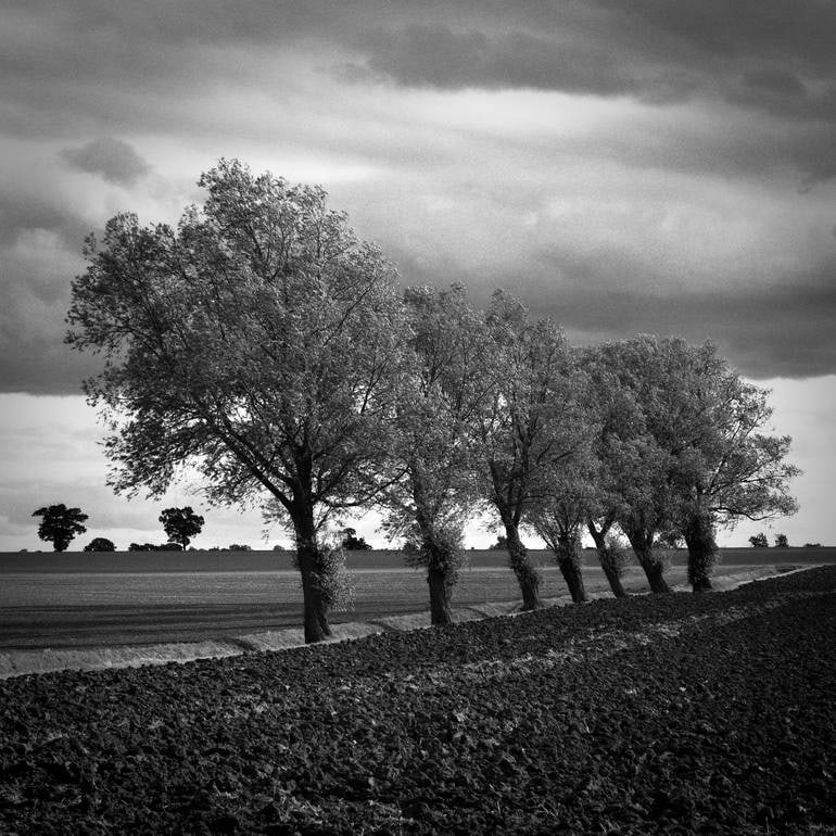Edition 2/10 - Walsham Le Willows, Suffolk - Silver Gelatin: Title: Edition 2/10 - Walsham Le Willows, Suffolk - Silver Gelatin Photograph Artist: Paul Cooklin Origin: United Kingdom Medium: Photography, Gelatin on Paper Dimensions: 16 W x 20 H x 0.1 D in Reser