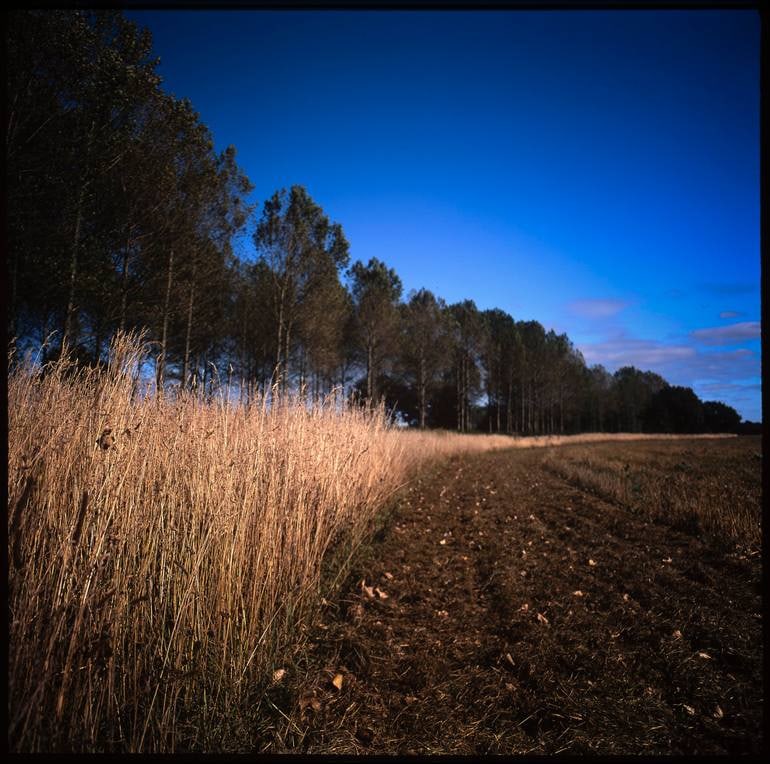 Wickham Skeith, Suffolk - C Type