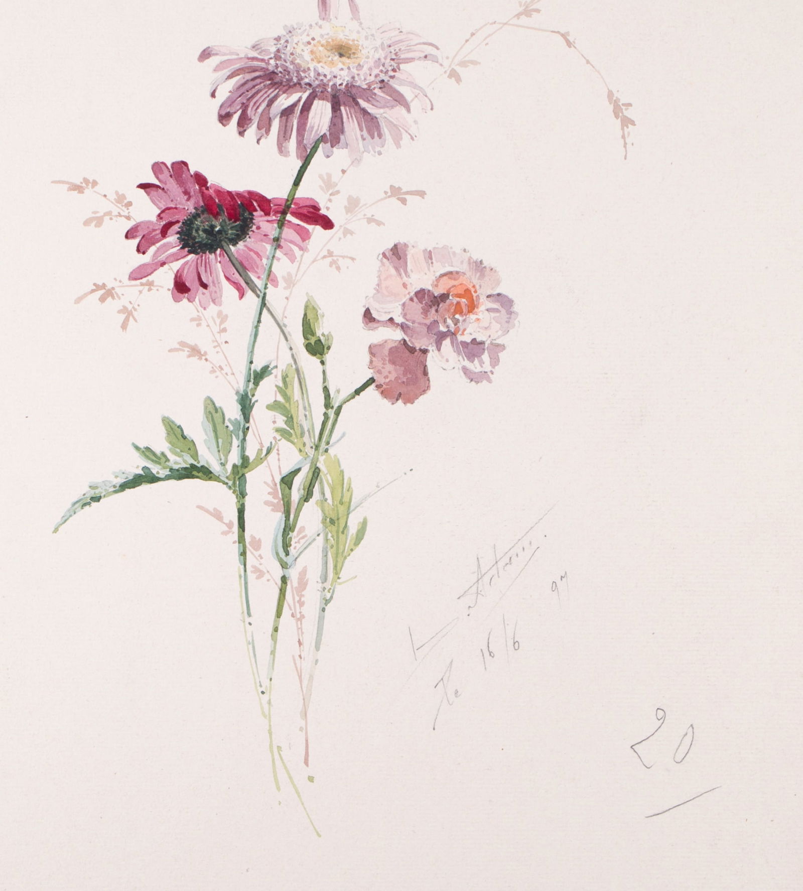 FRENCH aquarellist painting of flowering daisy bis Henri Adam 1890 - 2