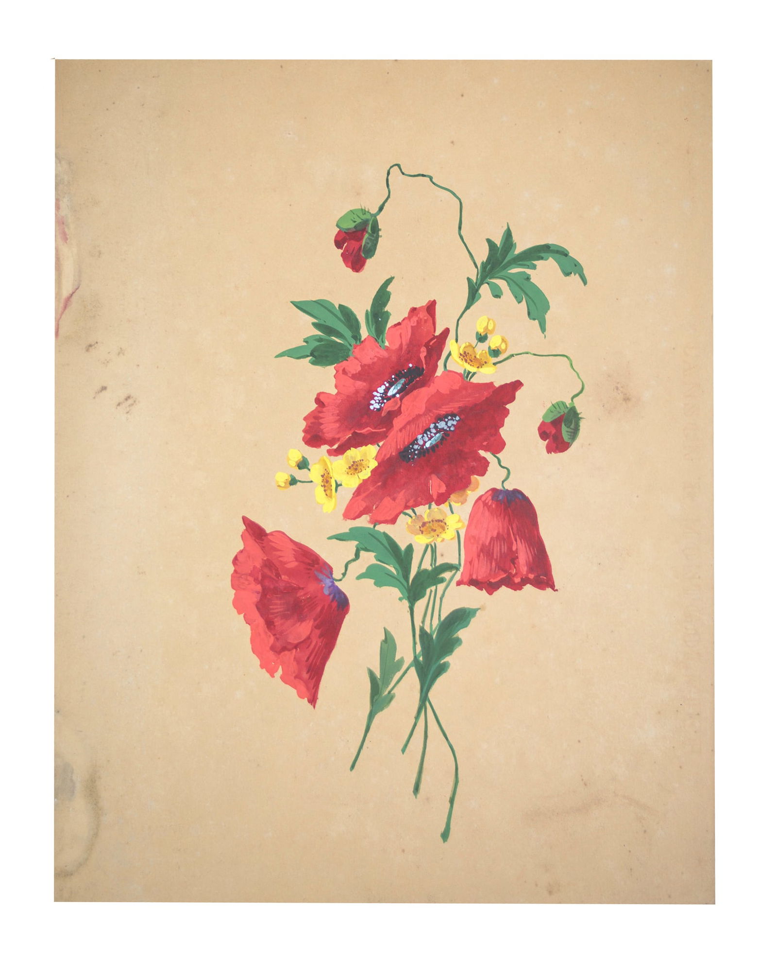 copy of FRENCH aquarellist painting of flowering poppies Henri Adam 1890: Title: copy of FRENCH aquarellist painting of flowering poppies Henri Adam 1890 Description: Made in France during the 1890's this drawing is aquarelle original rendering of flowering poppies created