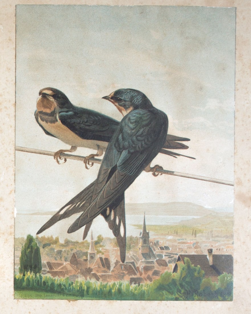French Chromolithography 1879 birds school prints school aid #1 - 3