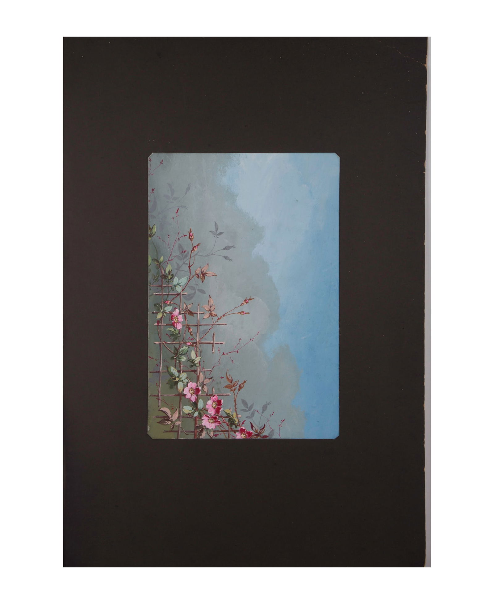 FRENCH aquarellist gouache of botanical Henri Adam 1890 - 2