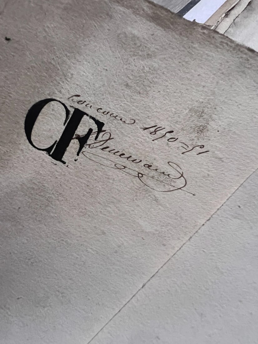 Antique Drawing Original Pencil 19th century Floral, Flowers 1850 Floral - 6