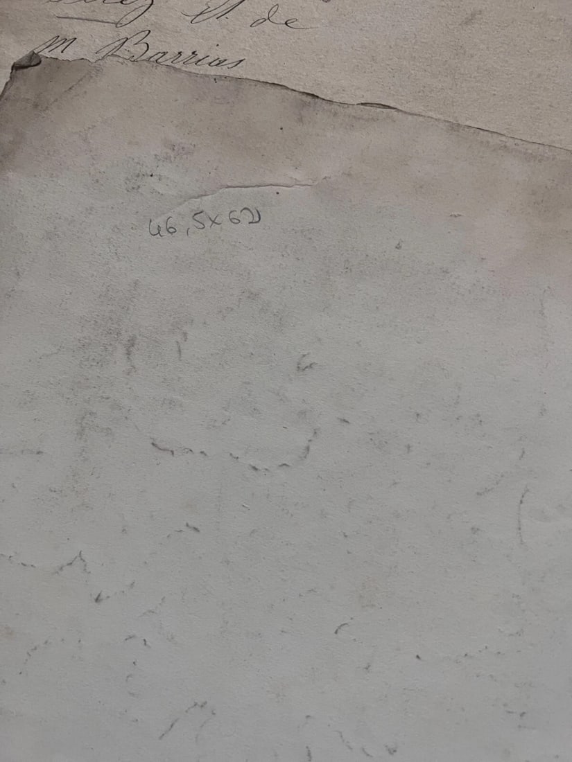 Antique Drawing Charcoal Original Flowers, Floral, Plant 1850 Floral - 6