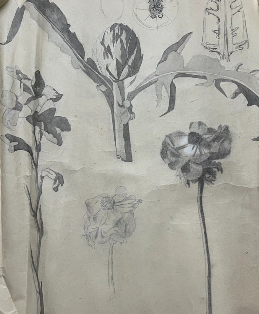 Antique Architecture Original Drawing Flowers, Floral, Artichoke: Title: Antique Architecture Original Drawing Flowers, Floral, Artichoke Description: Antique Architecture Original Drawing Flowers, Floral, Artichoke pencil on paper 65 x 53 cm stains, cuts, folds Res