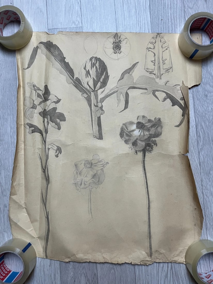 Antique Architecture Original Drawing Flowers, Floral, Artichoke - 2