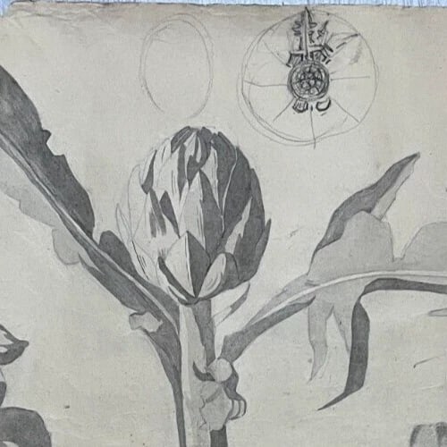 Antique Architecture Original Drawing Flowers, Floral, Artichoke - 3