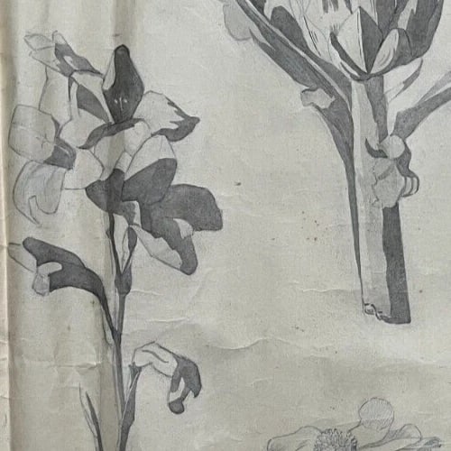 Antique Architecture Original Drawing Flowers, Floral, Artichoke - 5