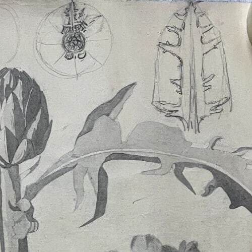 Antique Architecture Original Drawing Flowers, Floral, Artichoke - 7