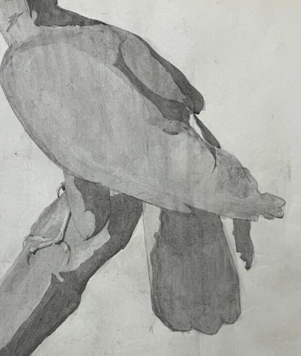 Antique Original Drawing Sculpture, Animal, Bird, Crow - 5