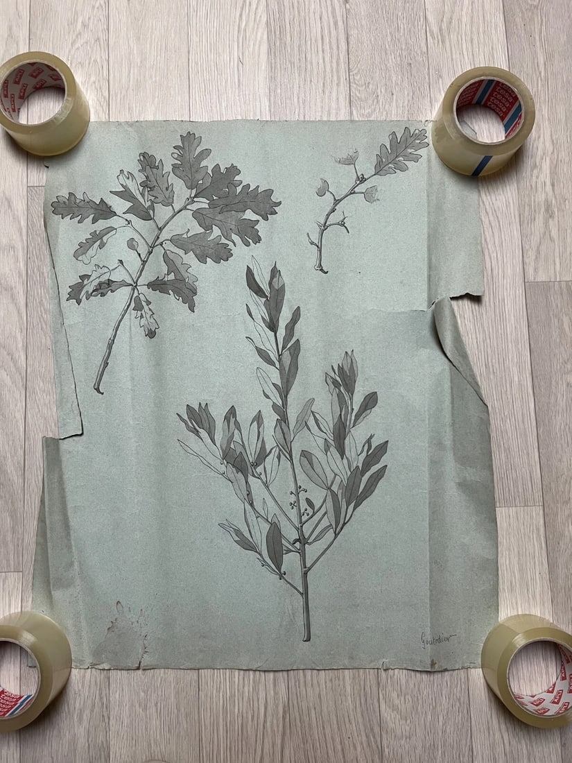 Antique Original Drawing Flowers, Floral, Still Life, Leaves - 2