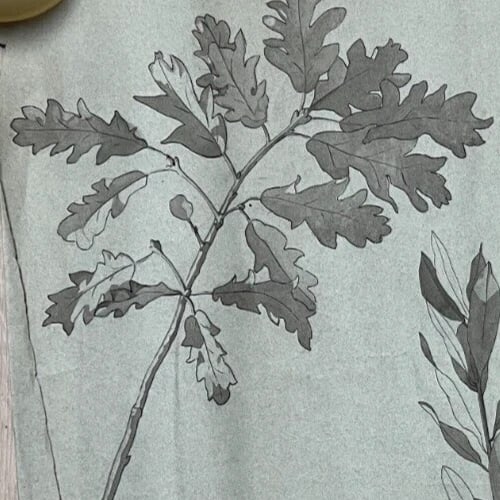 Antique Original Drawing Flowers, Floral, Still Life, Leaves - 4