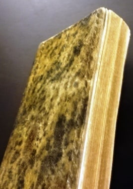 18th C German Genealogical Work Gold Fore Edges - 3
