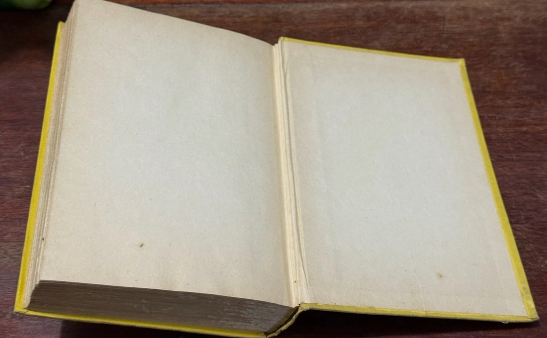 THE LASH: Photoplay Title of Adios by The Bartletts 1936 HCGrosset Author’sLtdEd - 13