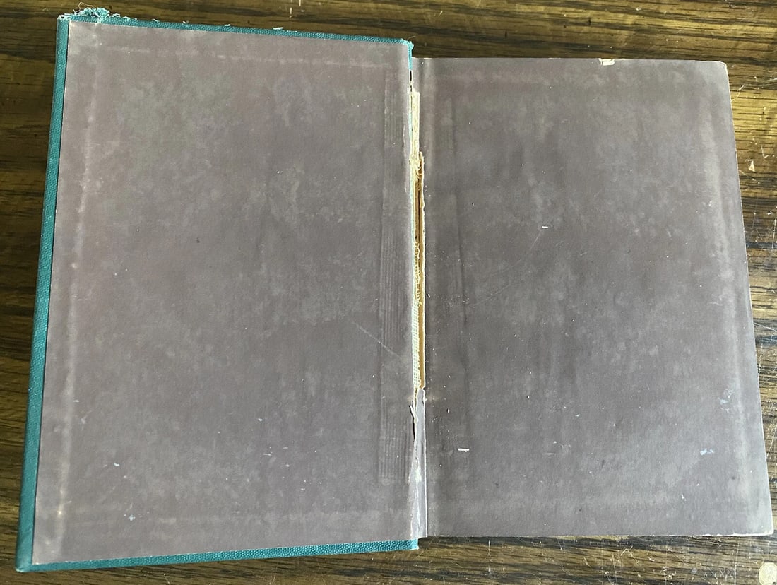 Dickens' Works Illustrated Dombey & Son James R. Osgood 1875 HC Boston - 10