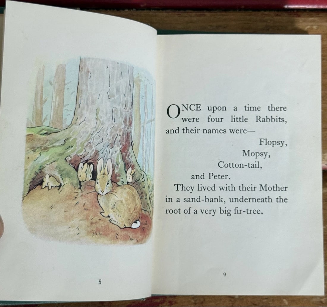 VINTAGE The Tale Of Peter Rabbit By Beatrix Potter HC 1st Printing No Date Good - 10