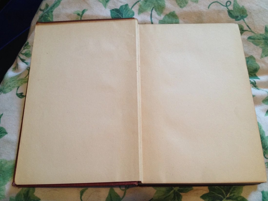 THE MASTER OF BALLANTRAE R.L.Stevenson Medallion Ed. HC 1916 CurrentLiterature - 7