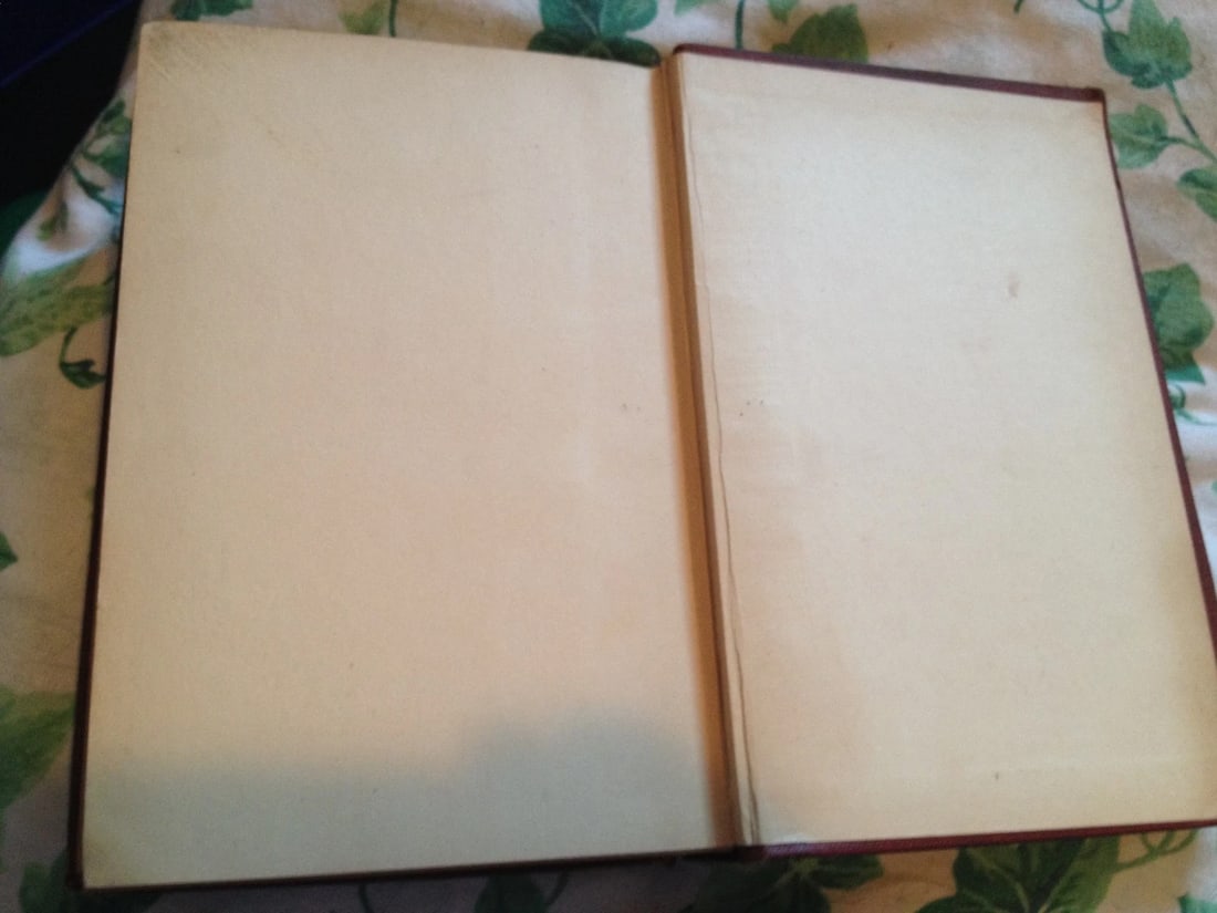 THE MASTER OF BALLANTRAE R.L.Stevenson Medallion Ed. HC 1916 CurrentLiterature - 9