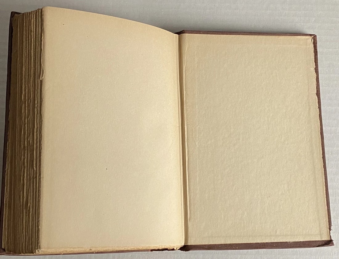 1st Edition 1st Print The Silver Stallion James Branch Cabell 1926 HC VGood - 11