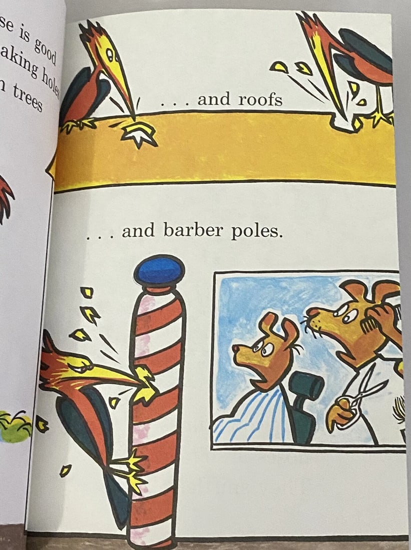 1970 The Nose Book Al Perkins Dr Seuss Bright & Early Book Club Edition HC - 14