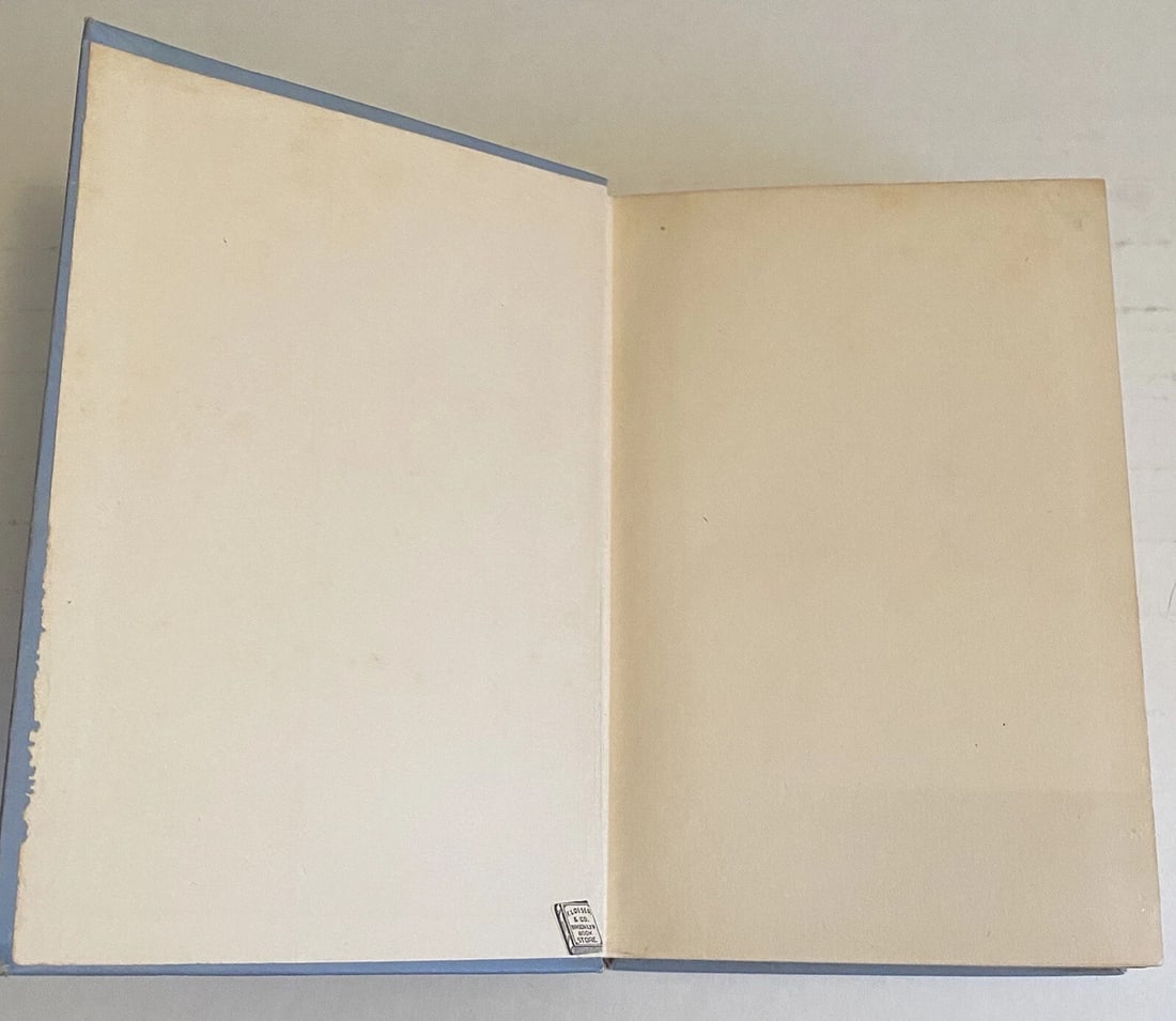 The Campaign Of The Jungle Edw. Stratemeyer Lothrop, Lee,Shepard Boston HC Rare! - 12