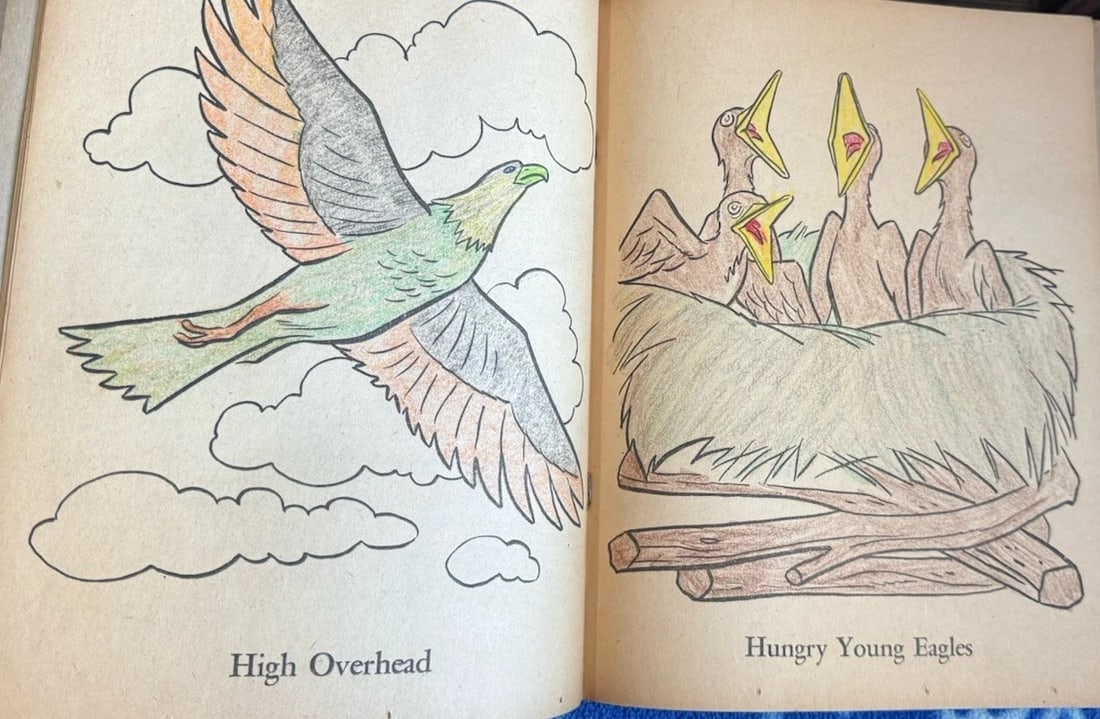 The Lone Ranger Coloring Book 1959 Rare 10 Cent Authorized Edition - 5