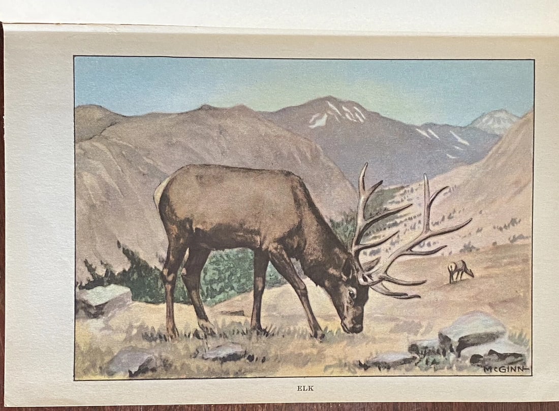 The Nature Library : Animals by Ernest Thompson Seton Copyright 1926 Illustrated - 14